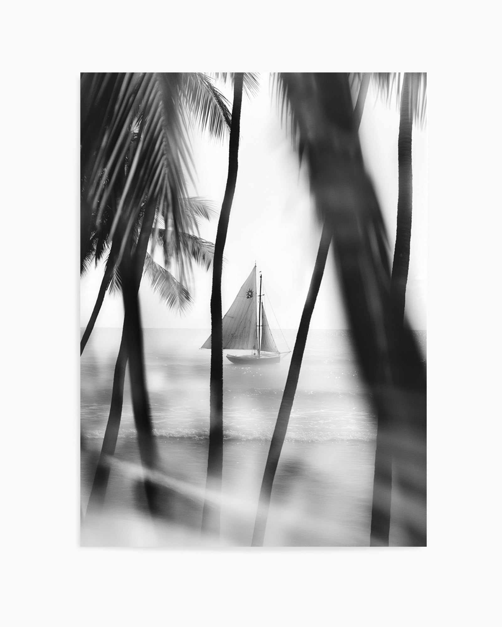 Through the Palms | Art Print