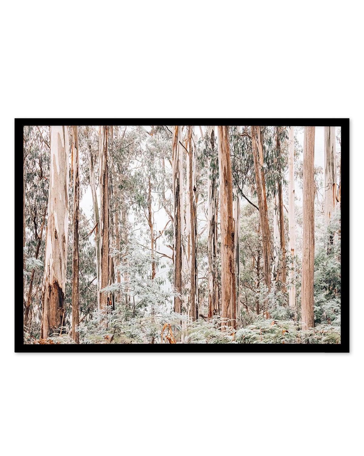 Through the Gum Trees Art Print