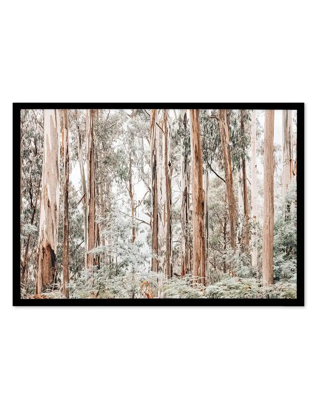 Through the Gum Trees Art Print from Olive et Oriel where you can shop wallpaper and artworks online