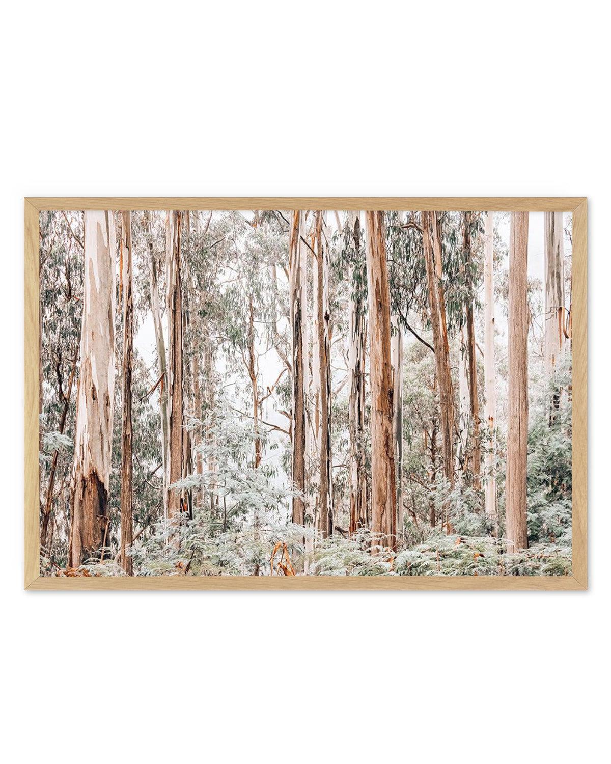 Through the Gum Trees Art Print