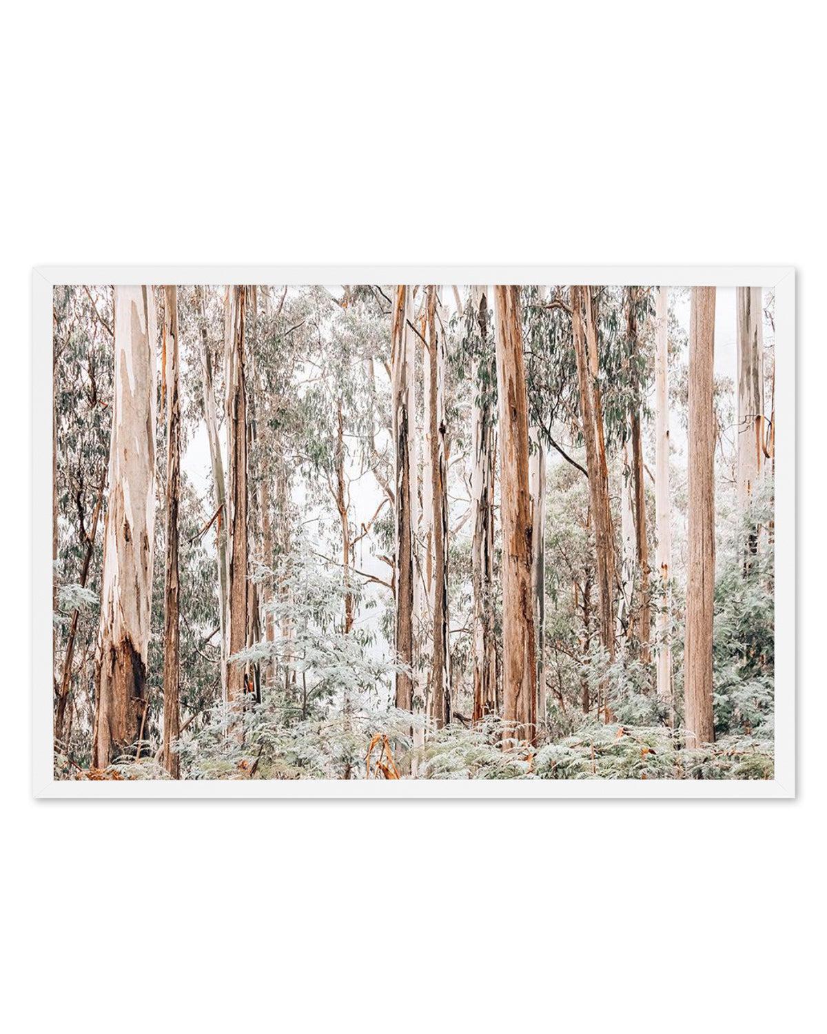 Through the Gum Trees Art Print