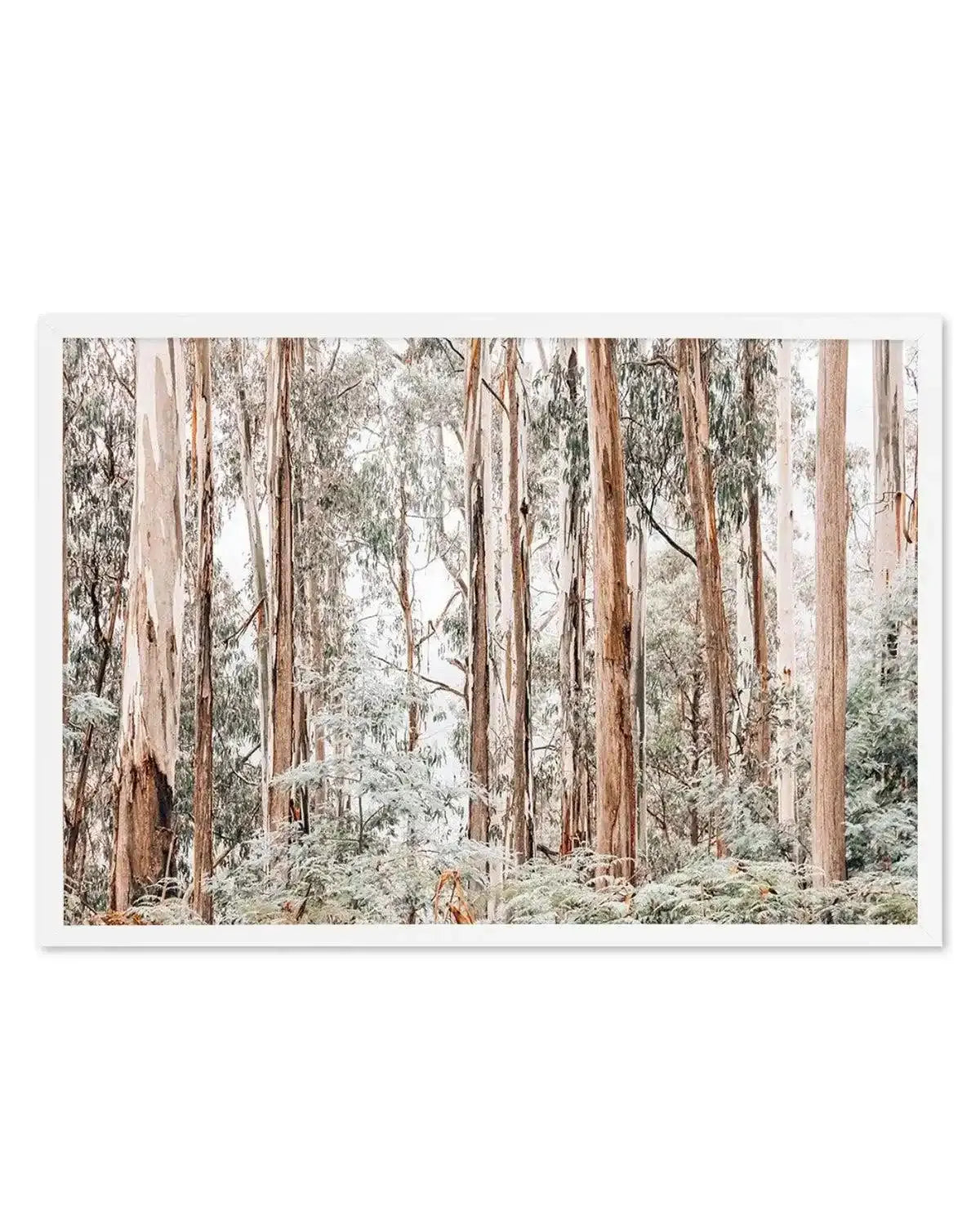 Through the Gum Trees Art Print from Olive et Oriel where you can shop wallpaper and artworks online