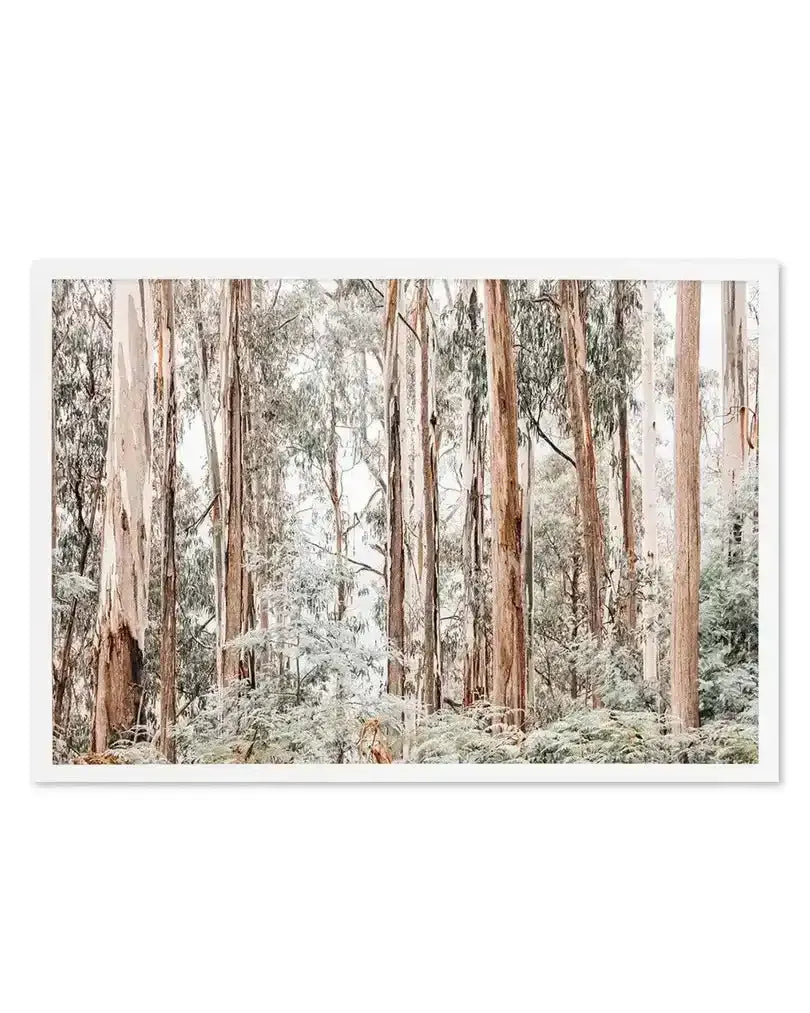 SALE 100x130 Through the Gum Trees Art Print from Olive et Oriel where you can shop wallpaper and artworks online