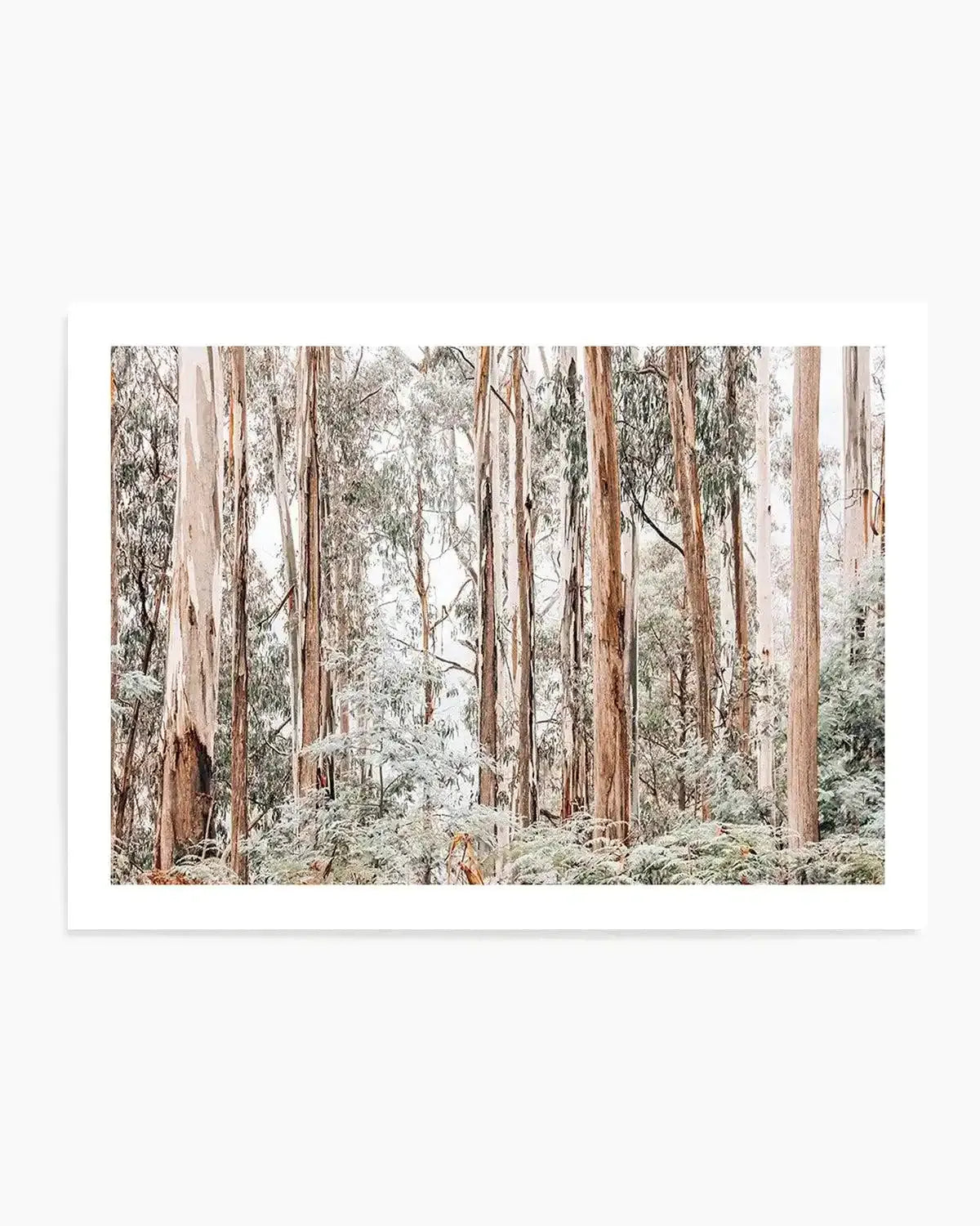 Through the Gum Trees Art Print from Olive et Oriel where you can shop wallpaper and artworks online