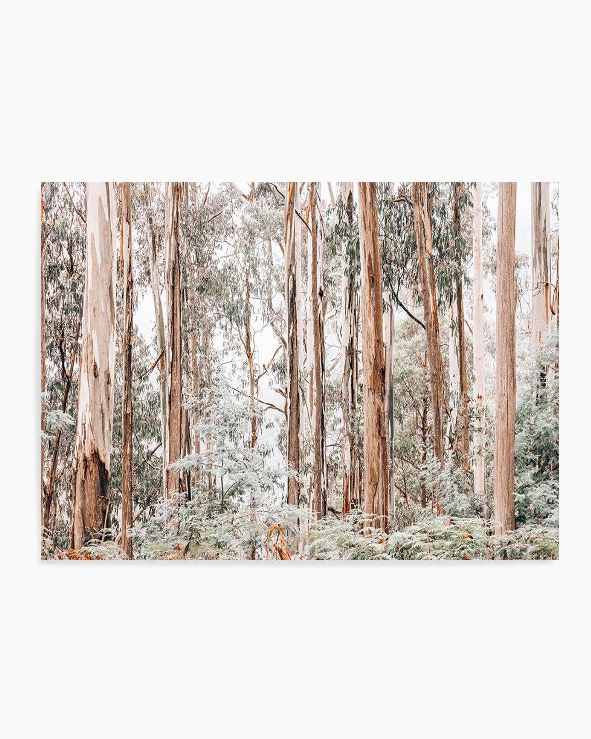 Through the Gum Trees Art Print