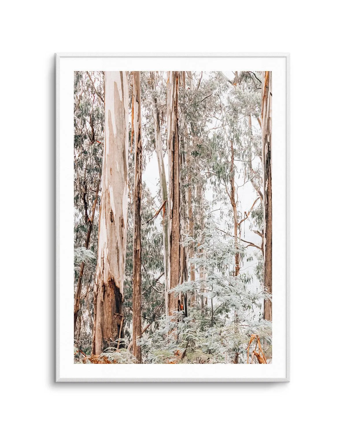 Through the Gum Trees I Art Print | PT-PRINT-Olive et Oriel-Olive et Oriel-A5 | 5.8" x 8.3" | 14.8 x 21cm-Unframed Art Print-With White Border-Buy-Australian-Art-Prints-Online-with-Olive-et-Oriel-Your-Artwork-Specialists-Austrailia-Decorate-With-Coastal-Photo-Wall-Art-Prints-From-Our-Beach-House-Artwork-Collection-Fine-Poster-and-Framed-Artwork