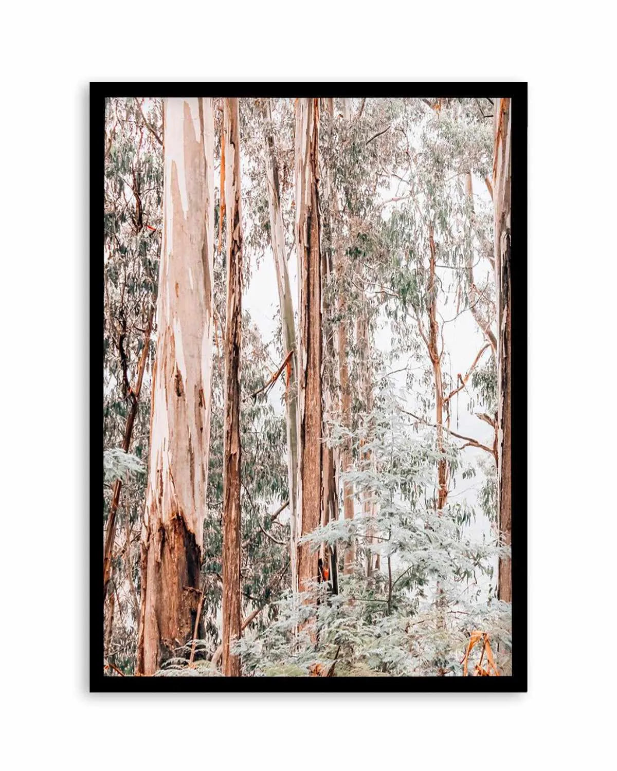 Through the Gum Trees I Art Print | PT from Olive et Oriel where you can shop wallpaper and artworks online