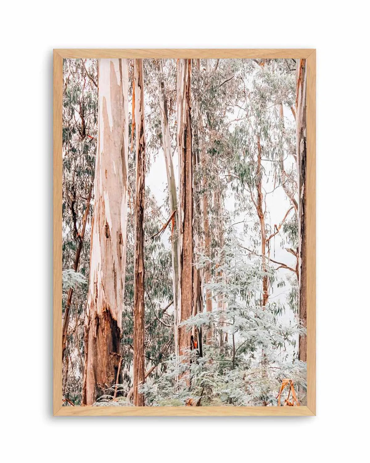 Through the Gum Trees I Art Print | PT from Olive et Oriel where you can shop wallpaper and artworks online