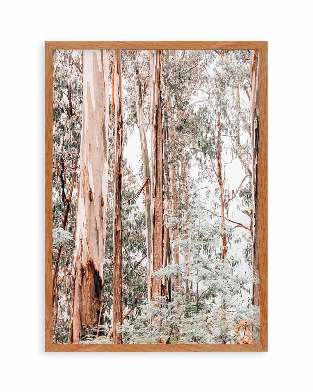 Through the Gum Trees I Art Print | PT from Olive et Oriel where you can shop wallpaper and artworks online