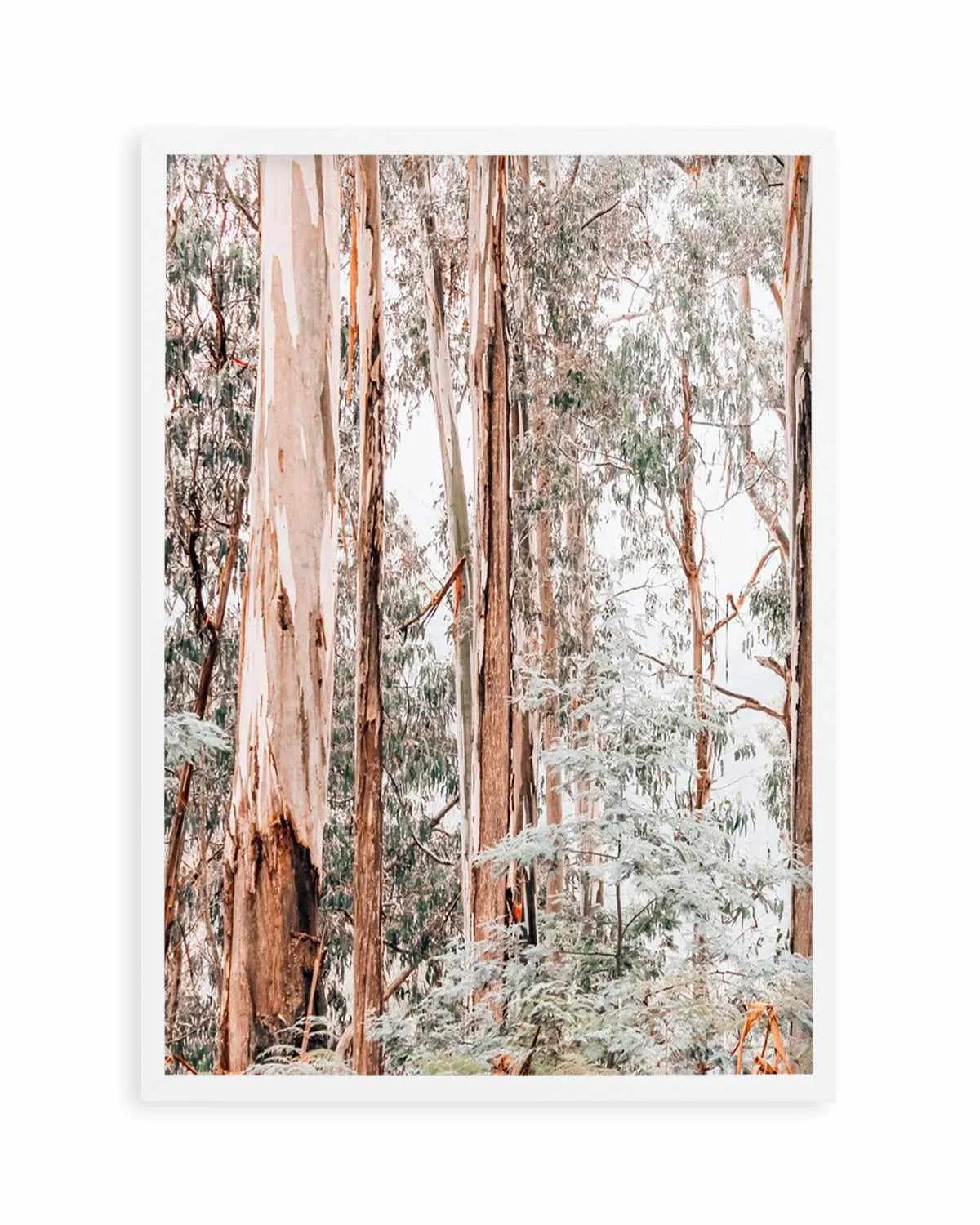 Through the Gum Trees I Art Print | PT from Olive et Oriel where you can shop wallpaper and artworks online