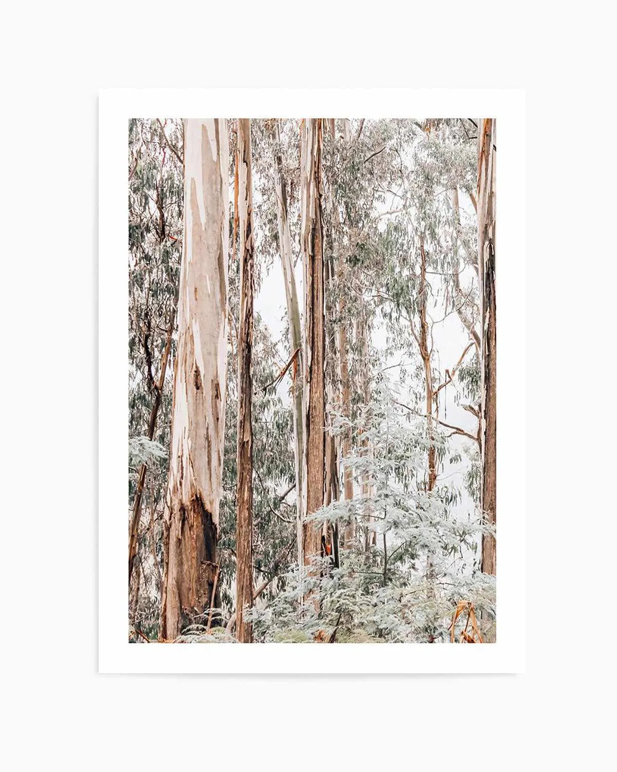 Through the Gum Trees I Art Print | PT from Olive et Oriel where you can shop wallpaper and artworks online