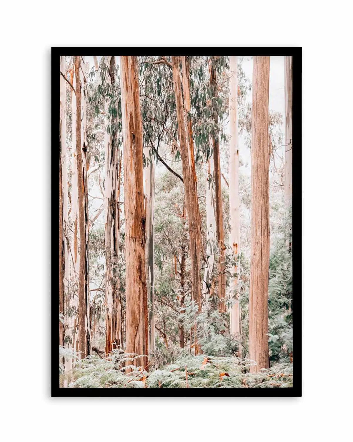 Through the Gum Trees II Art Print | PT from Olive et Oriel where you can shop wallpaper and artworks online