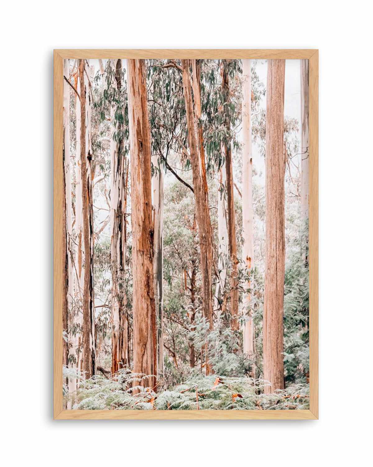 Through the Gum Trees II Art Print | PT