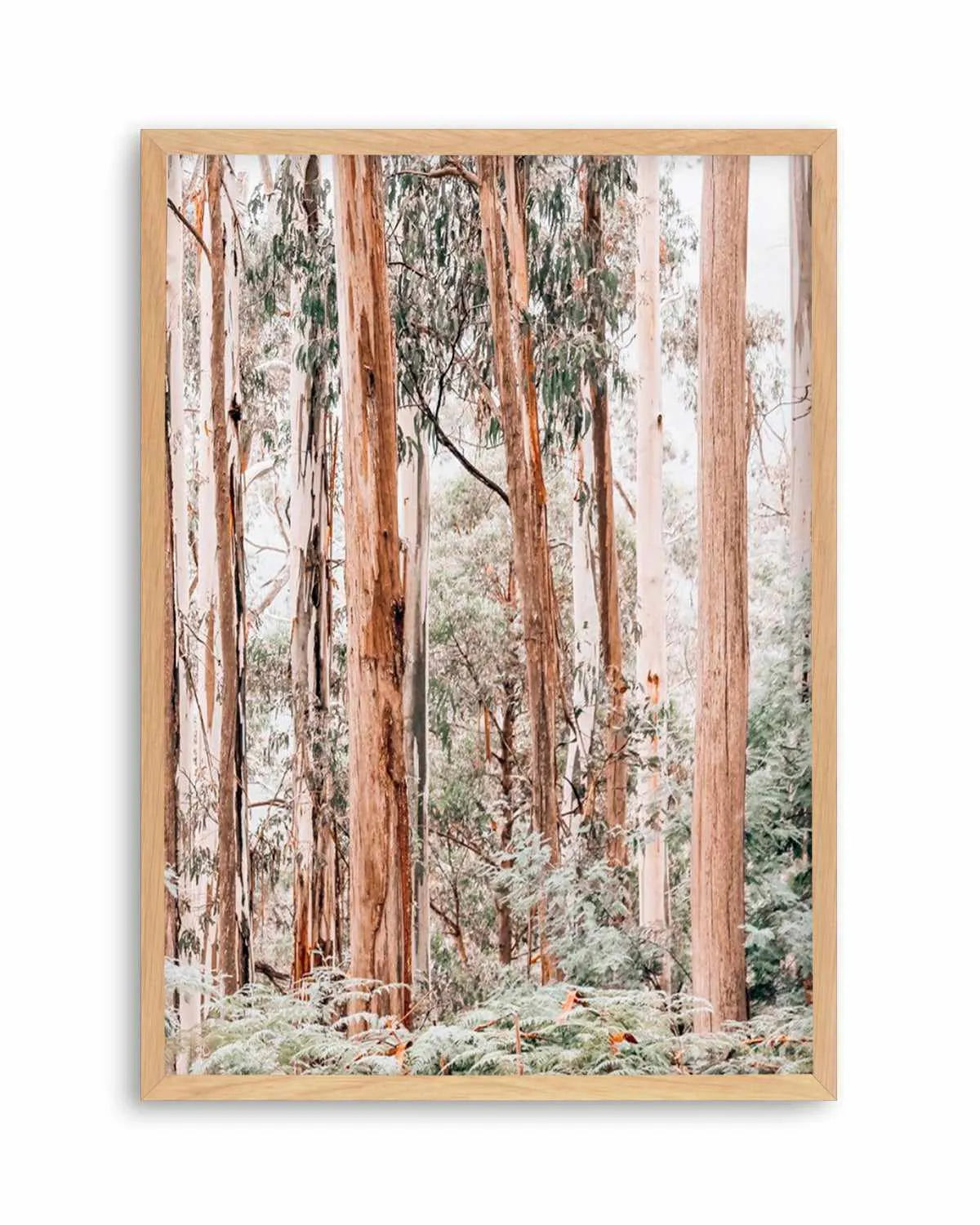 Through the Gum Trees II Art Print | PT from Olive et Oriel where you can shop wallpaper and artworks online