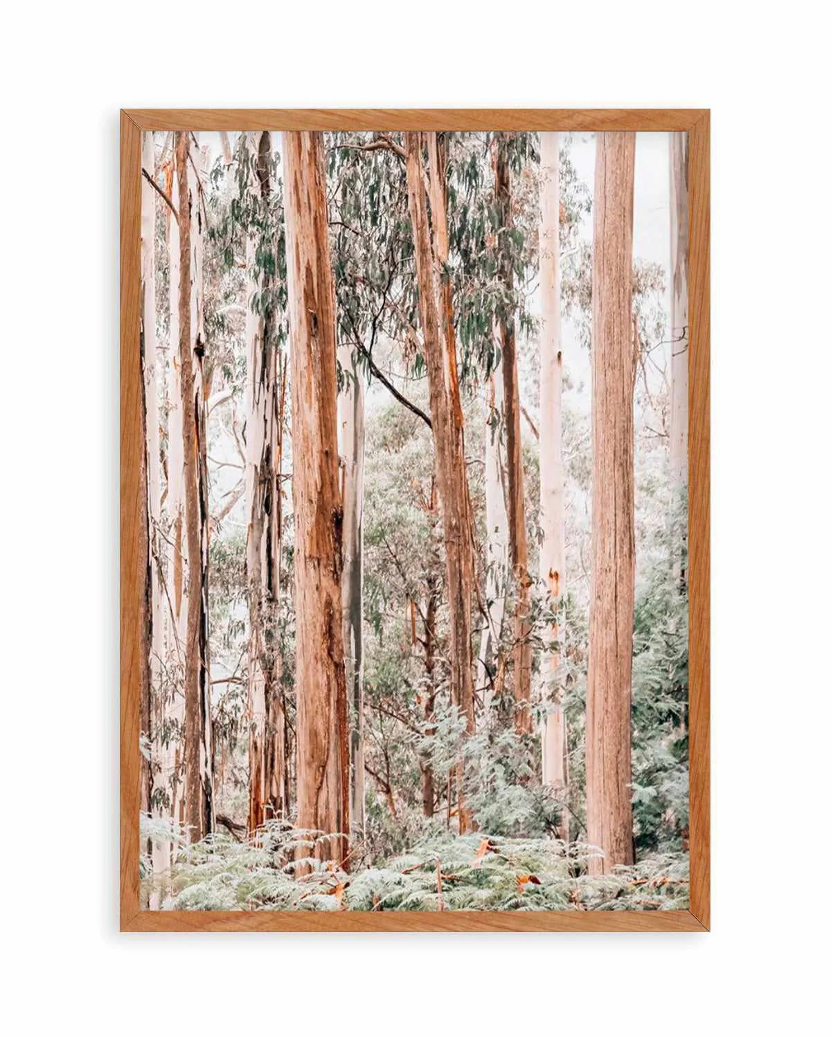 Through the Gum Trees II Art Print | PT from Olive et Oriel where you can shop wallpaper and artworks online
