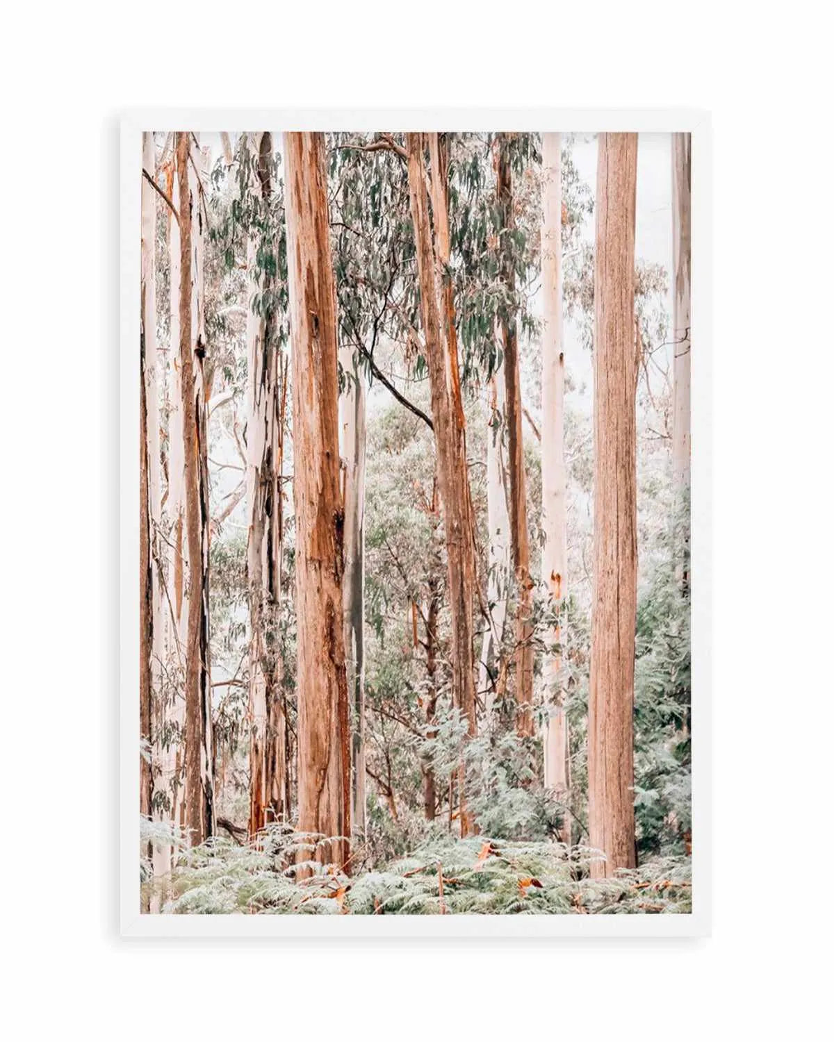 Through the Gum Trees II Art Print | PT from Olive et Oriel where you can shop wallpaper and artworks online