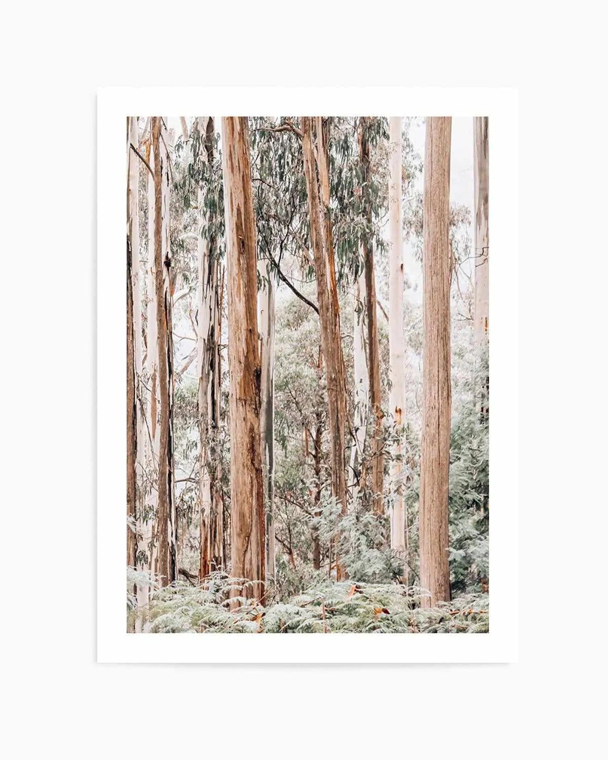 Through the Gum Trees II Art Print | PT from Olive et Oriel where you can shop wallpaper and artworks online