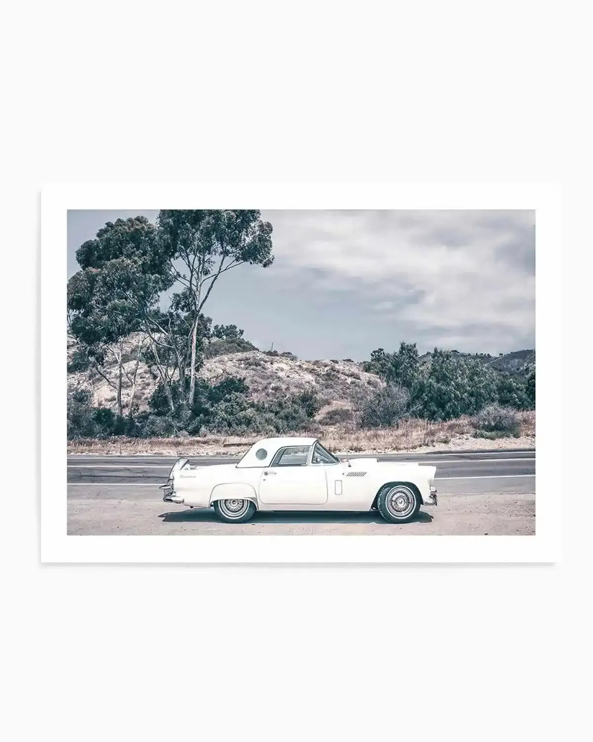 Thunderbird Art Print from Olive et Oriel where you can shop wallpaper and artworks online