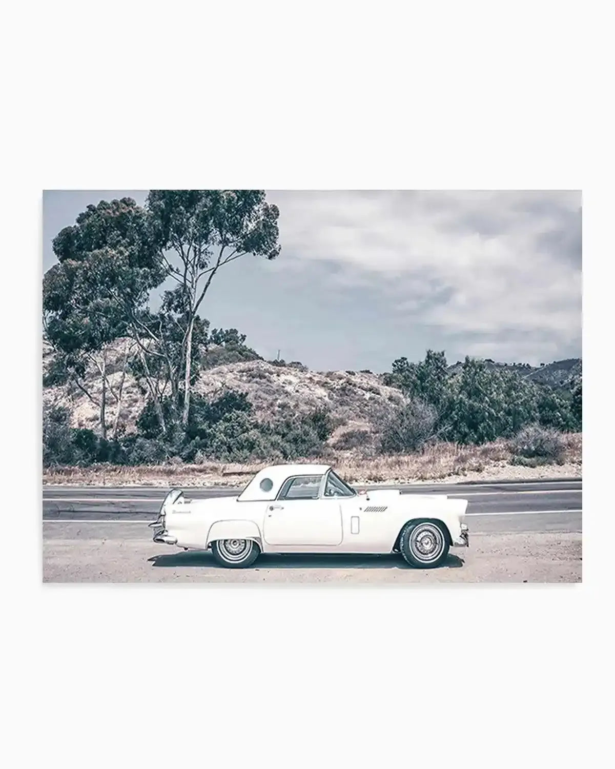 Thunderbird Art Print from Olive et Oriel where you can shop wallpaper and artworks online