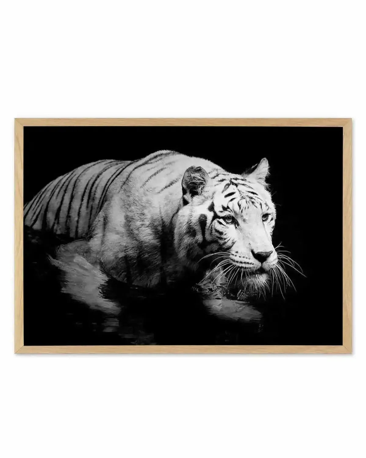 Tigre De Nuit | LS Art Print from Olive et Oriel where you can shop wallpaper and artworks online