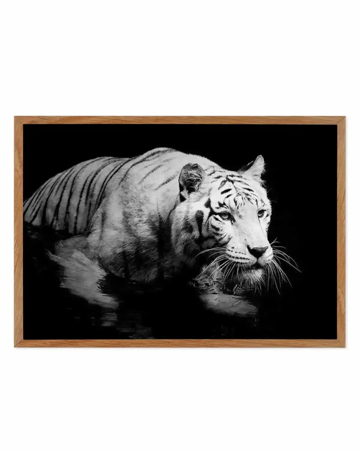 Tigre De Nuit | LS Art Print from Olive et Oriel where you can shop wallpaper and artworks online