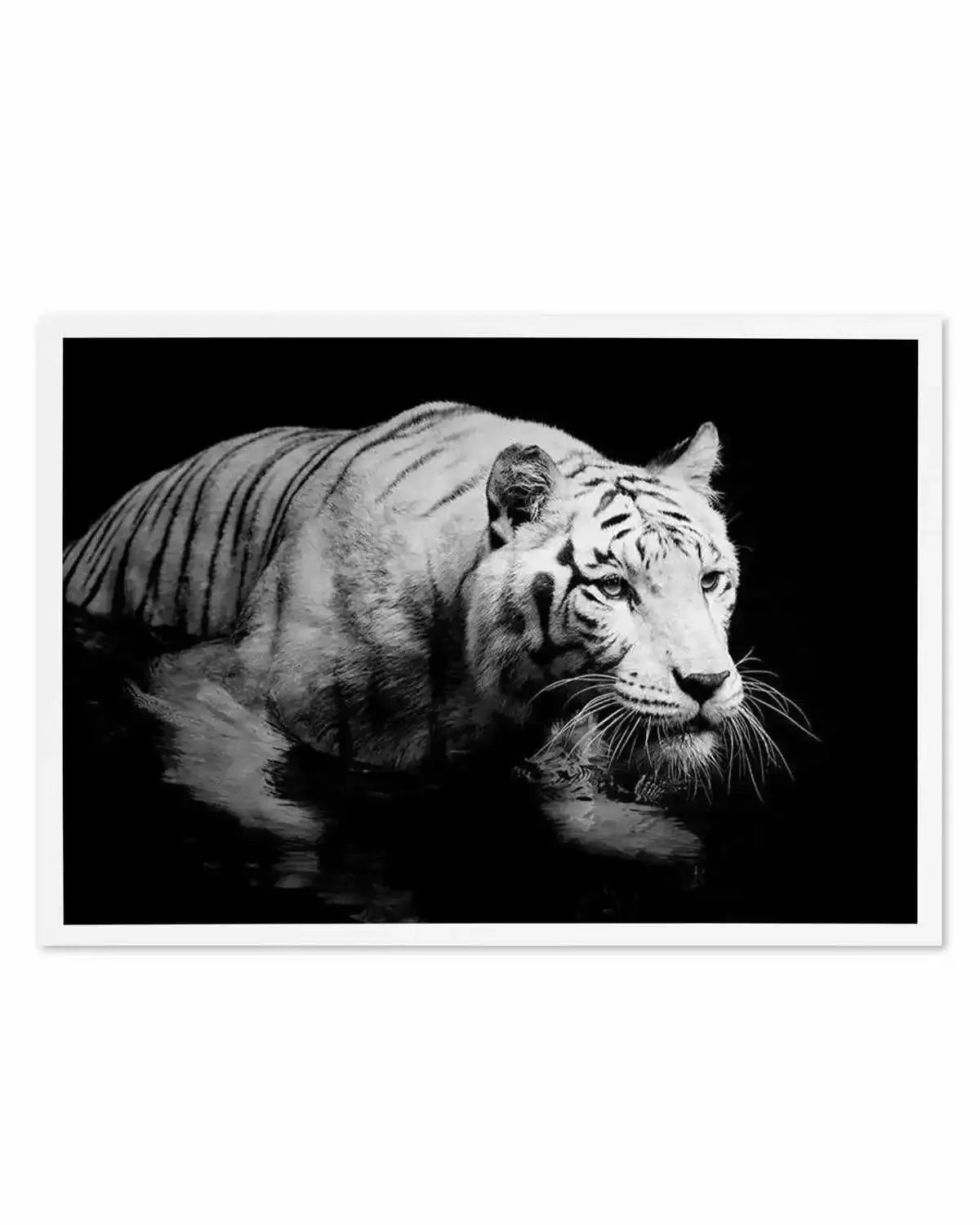 Tigre De Nuit | LS Art Print from Olive et Oriel where you can shop wallpaper and artworks online