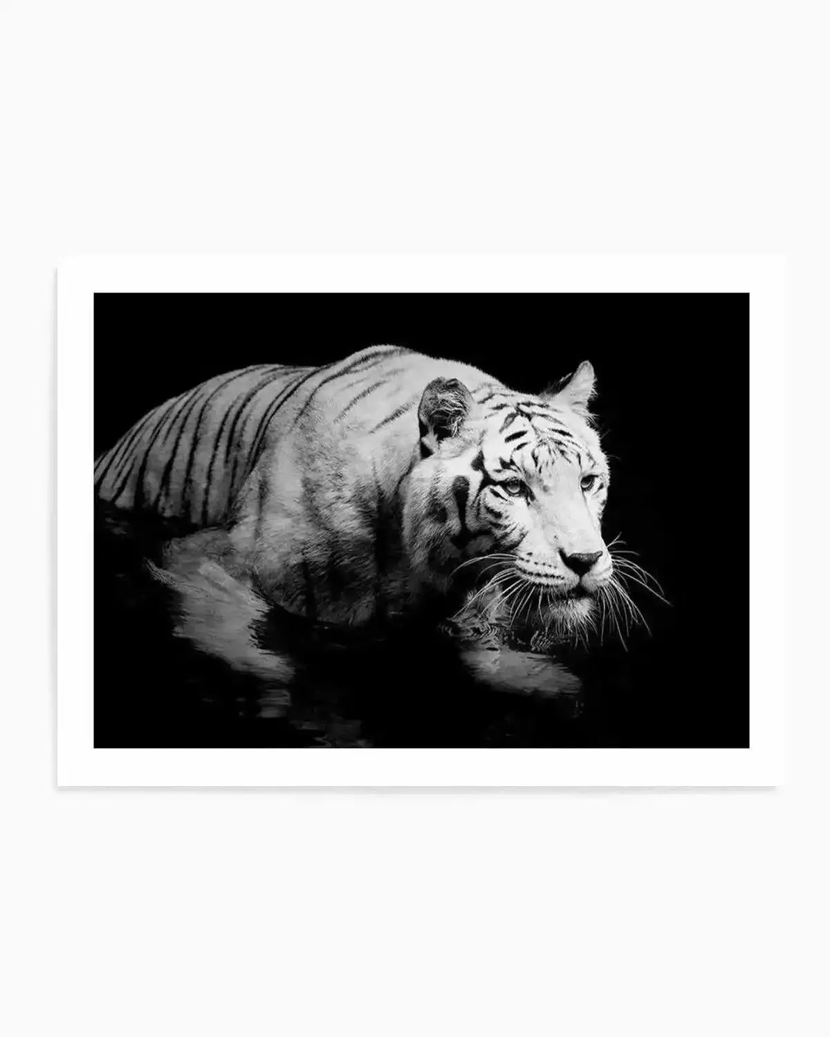 Tigre De Nuit | LS Art Print from Olive et Oriel where you can shop wallpaper and artworks online