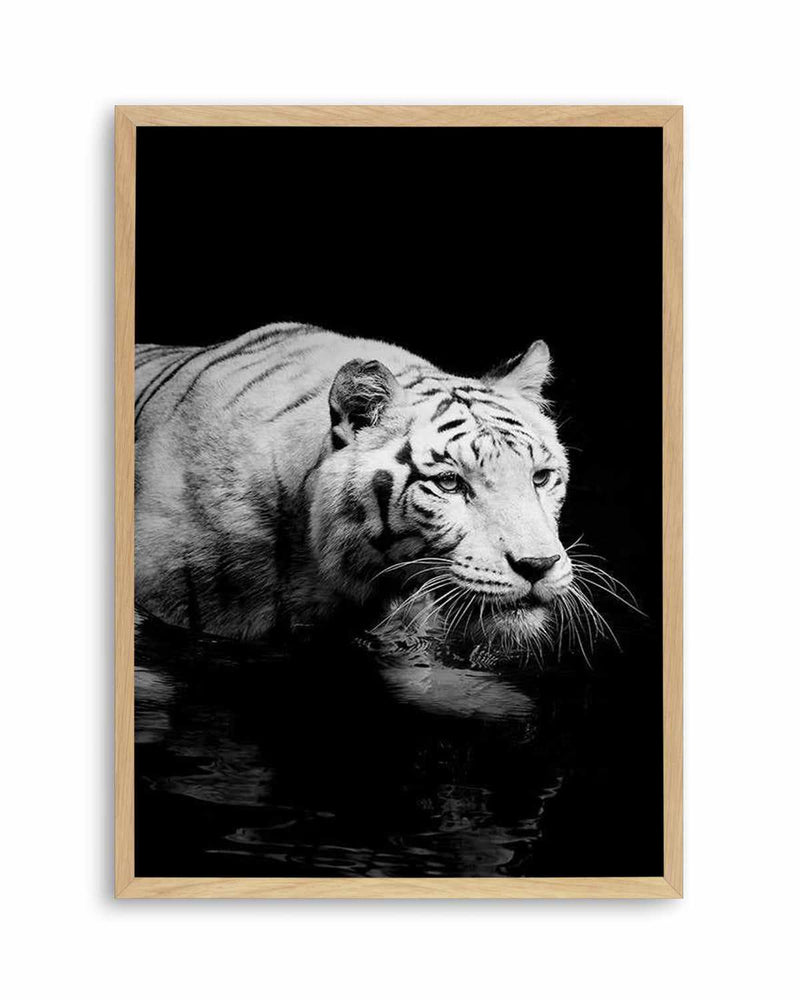 Tigre De Nuit | PT Art Print