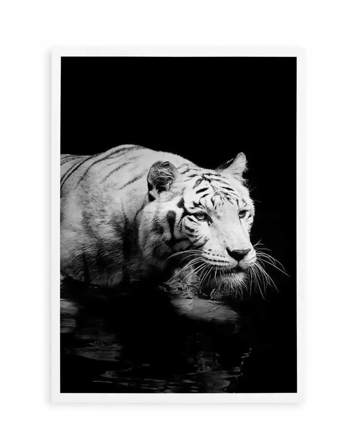 Tigre De Nuit | PT Art Print from Olive et Oriel where you can shop wallpaper and artworks online
