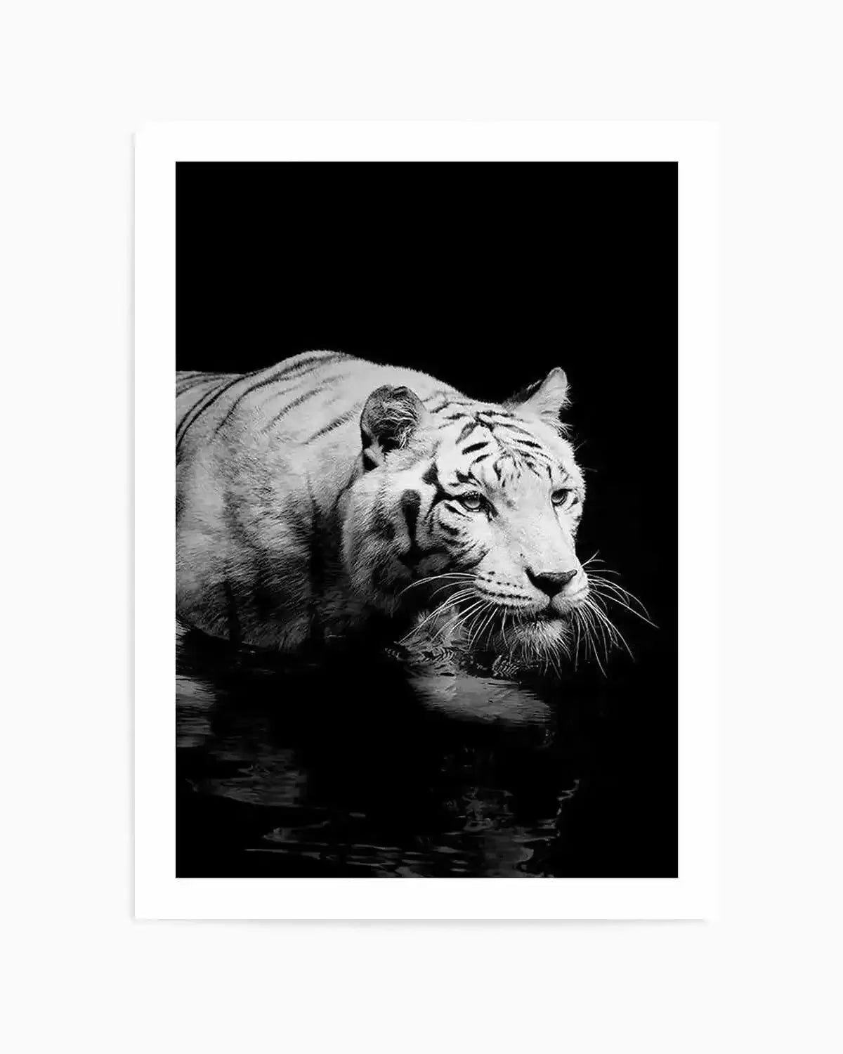 Tigre De Nuit | PT Art Print from Olive et Oriel where you can shop wallpaper and artworks online