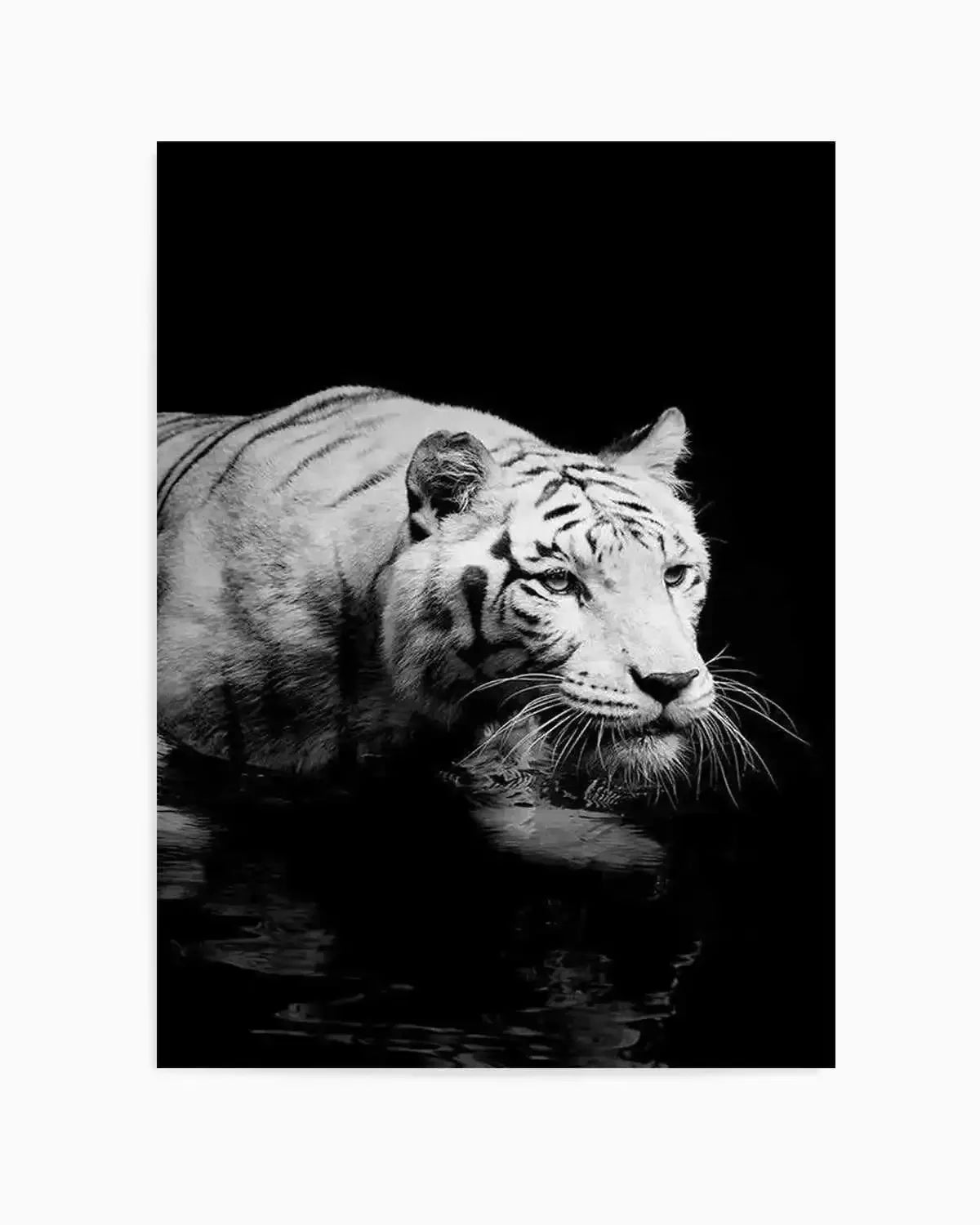 Tigre De Nuit | PT Art Print from Olive et Oriel where you can shop wallpaper and artworks online