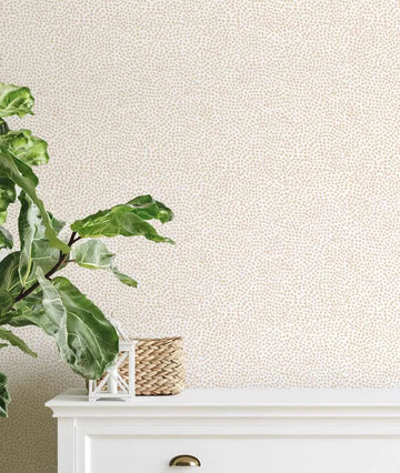 Tiny Dots Wallpaper in Beige-Wallpaper-Buy Kids Removable Wallpaper Online Our Custom Made Children‚àö¬¢‚Äö√á¬®‚Äö√ë¬¢s Wallpapers Are A Fun Way To Decorate And Enhance Boys Bedroom Decor And Girls Bedrooms They Are An Amazing Addition To Your Kids Bedroom Walls Our Collection of Kids Wallpaper Is Sure To Transform Your Kids Rooms Interior Style From Pink Wallpaper To Dinosaur Wallpaper Even Marble Wallpapers For Teen Boys Shop Peel And Stick Wallpaper Online Today With Olive et Oriel
