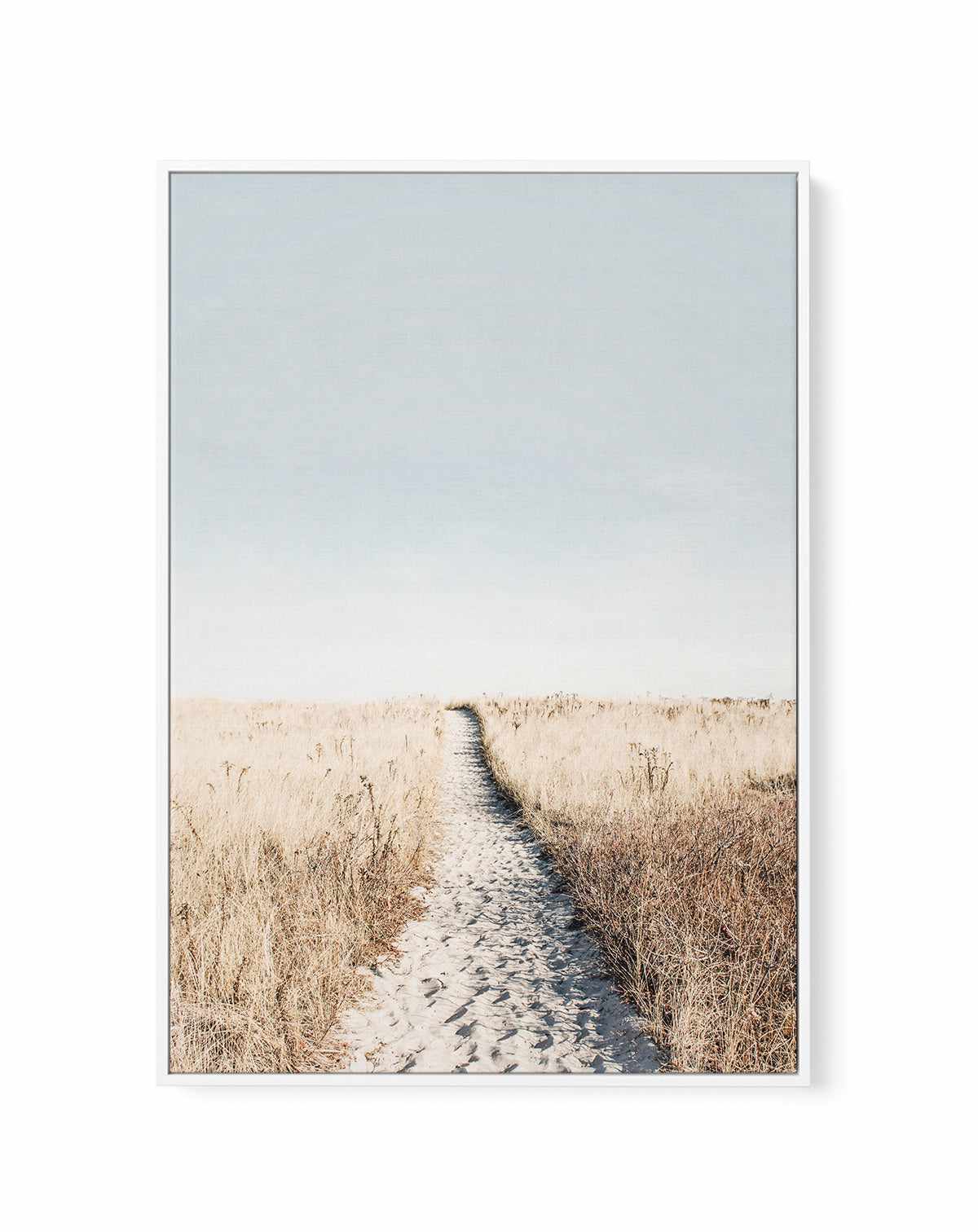 To The Beach By Kathrin Pienaar  | Framed Canvas Art Print