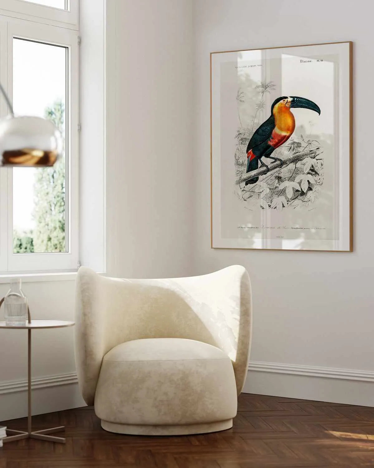 Toucan Vintage Illustration Art Print from Olive et Oriel where you can shop wallpaper and artworks online