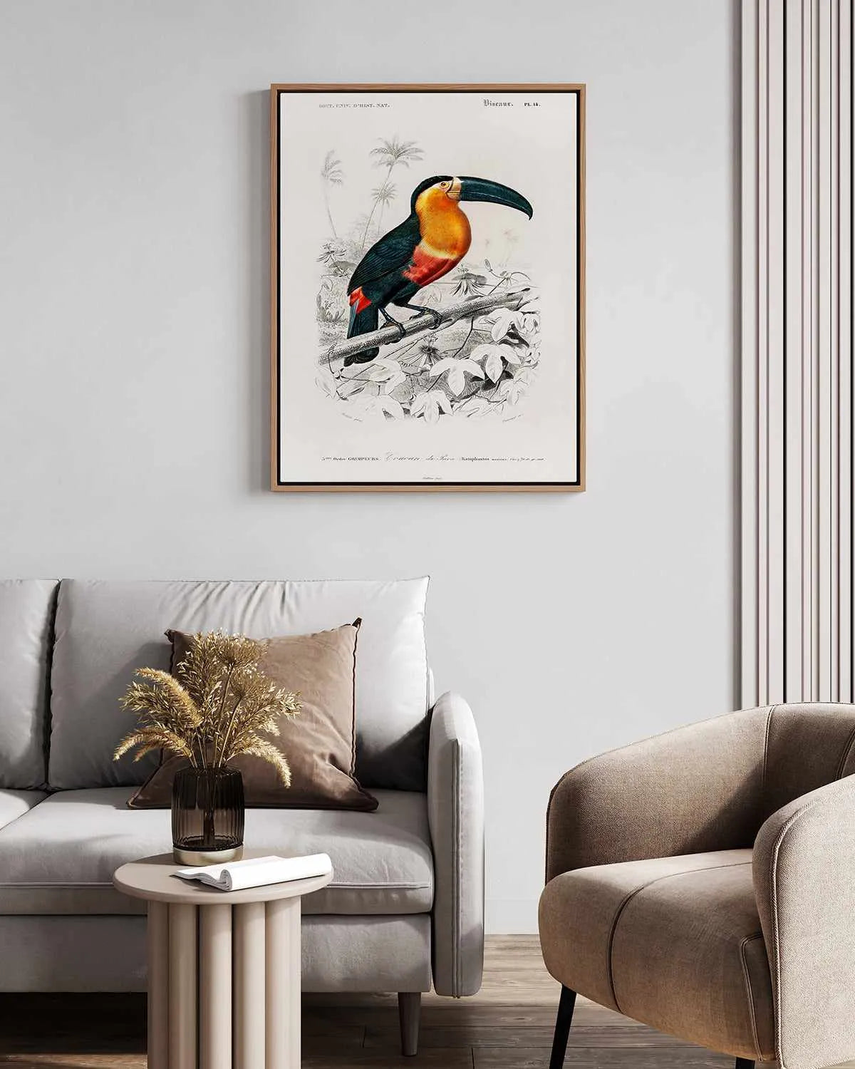 Toucan Vintage Illustration | Framed Canvas Art Print from Olive et Oriel where you can shop wallpaper and artworks online