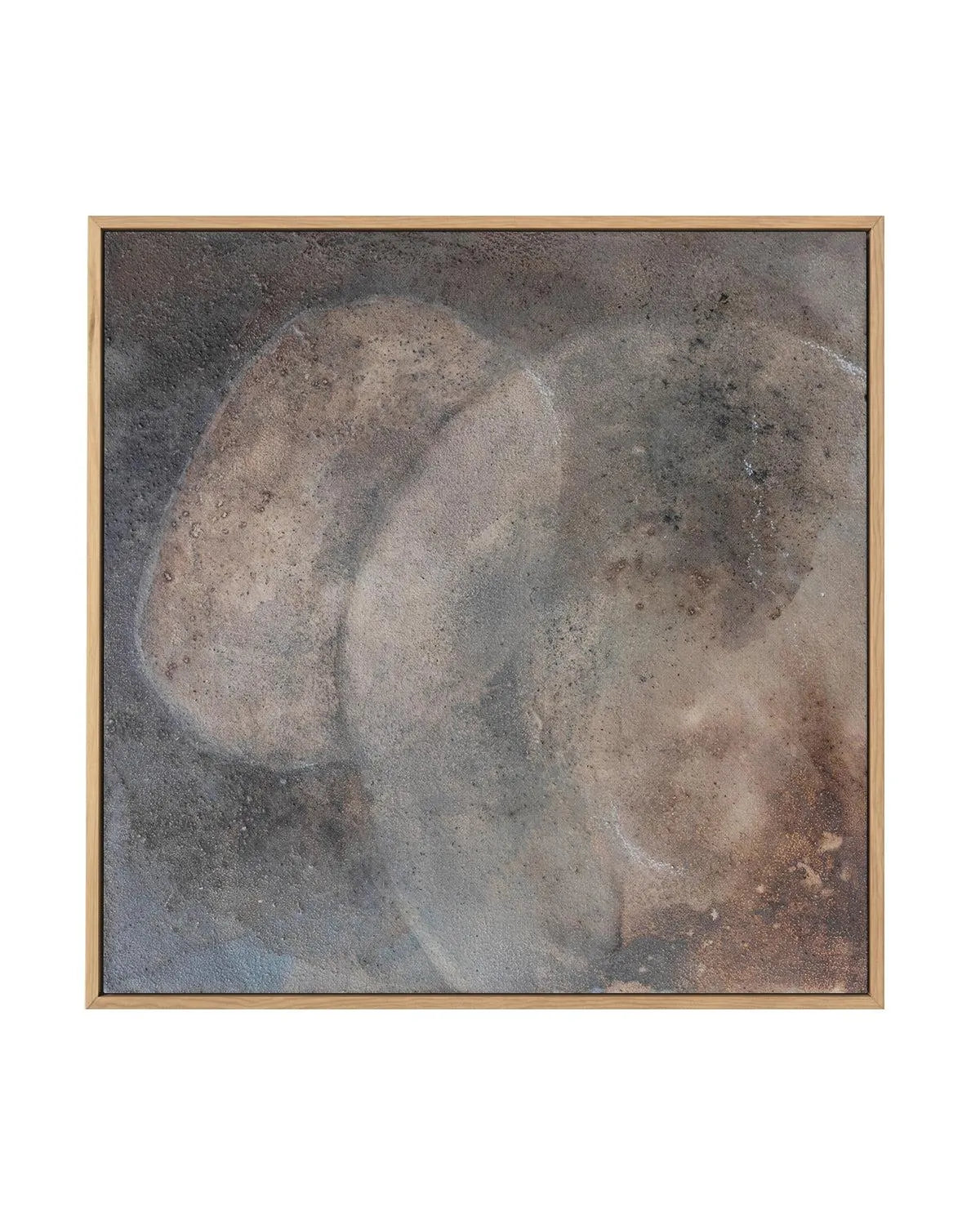 Transition by Irina Ventresca | Framed Canvas-CANVAS-You can shop wall art online with Olive et Oriel for everything from abstract art to fun kids wall art. Our beautiful modern art prints and canvas art are available from large canvas prints to wall art paintings and our proudly Australian artwork collection offers only the highest quality framed large wall art and canvas art Australia - You can buy fashion photography prints or Hampton print posters and paintings on canvas from Olive et Oriel 