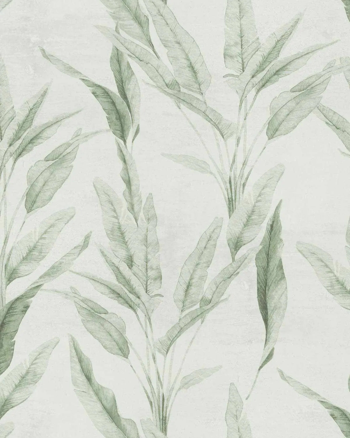 Traveler's Palm Sage Green Wallpaper-Wallpaper-Buy Australian Removable Wallpaper Now Sage Green Wallpaper Peel And Stick Wallpaper Online At Olive et Oriel Custom Made Wallpapers Wall Papers Decorate Your Bedroom Living Room Kids Room or Commercial Interior