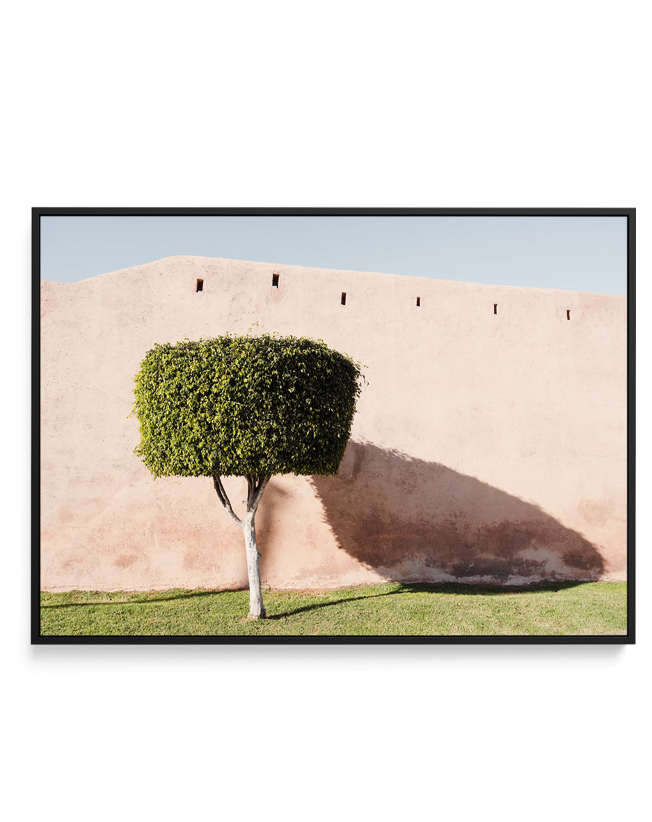 Tree Shadow on Pink Wall by Photolovers | Framed Canvas Art Print