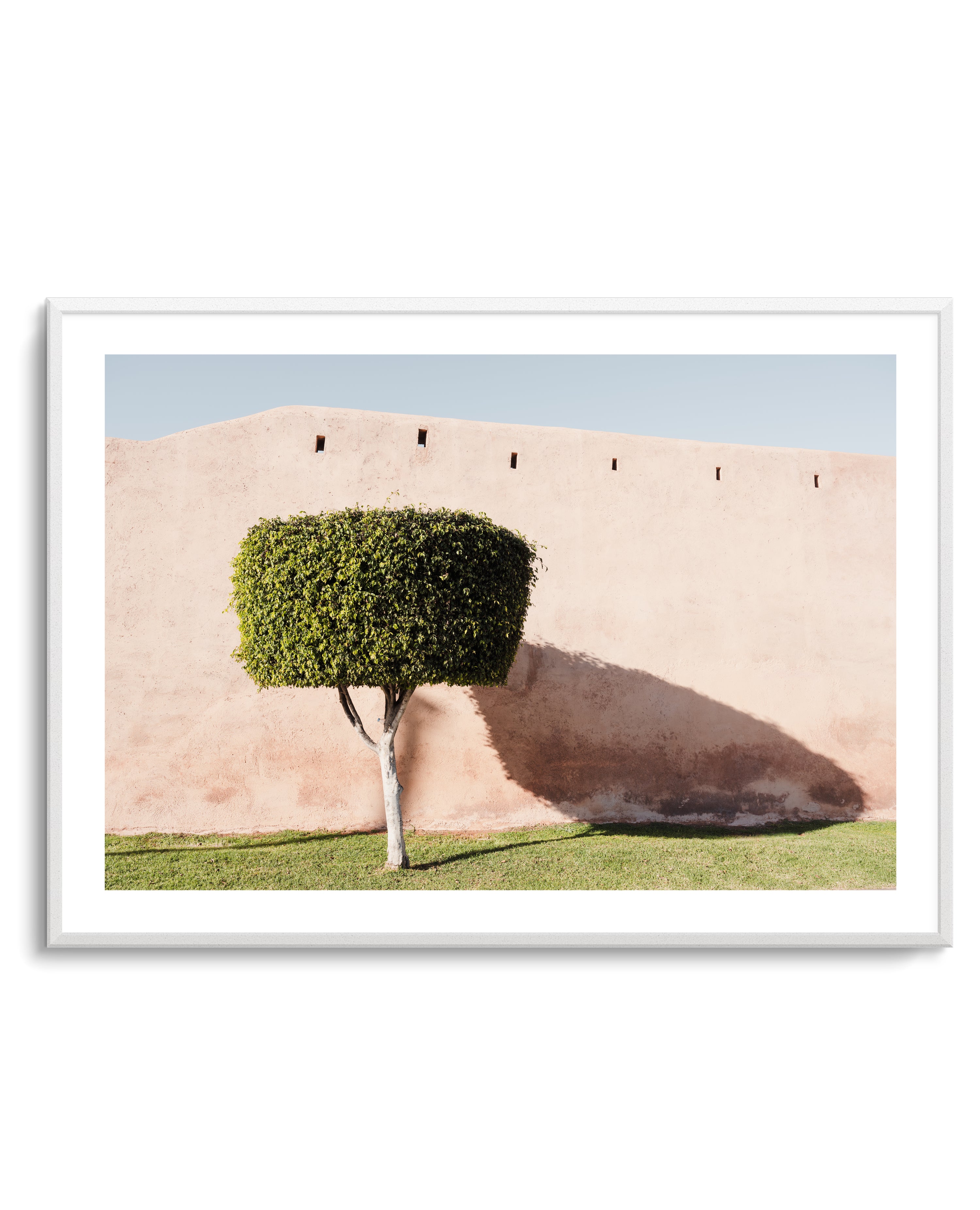 Tree Shadow on Pink Wall by Photolovers | Art Print