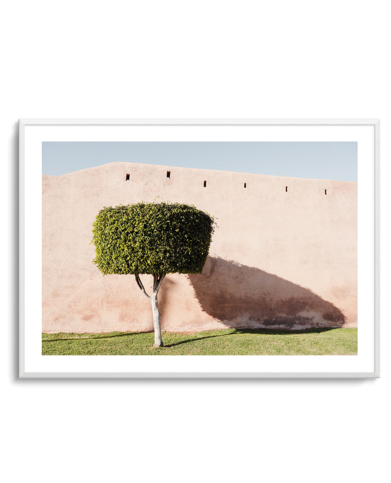 Tree Shadow on Pink Wall by Photolovers | Art Print