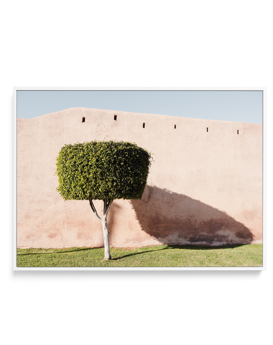 Tree Shadow on Pink Wall by Photolovers | Framed Canvas Art Print