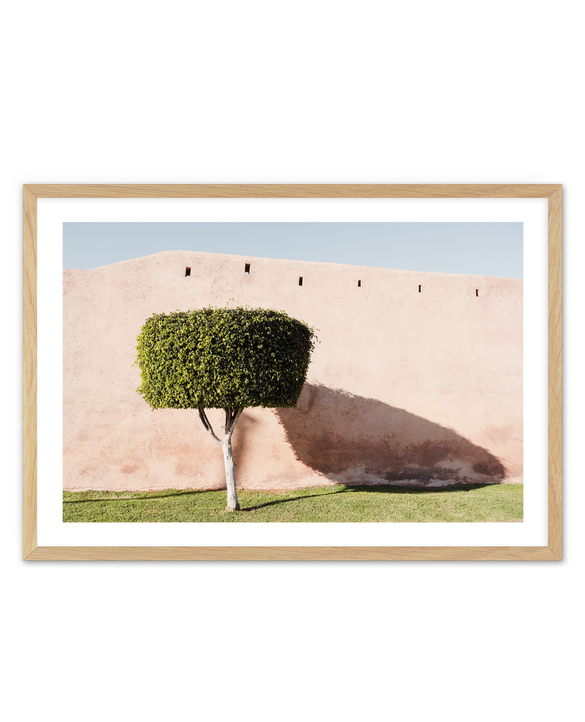 Tree Shadow on Pink Wall by Photolovers | Art Print