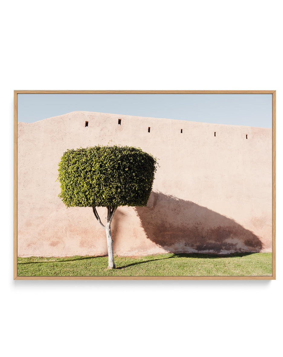 Tree Shadow on Pink Wall by Photolovers | Framed Canvas Art Print