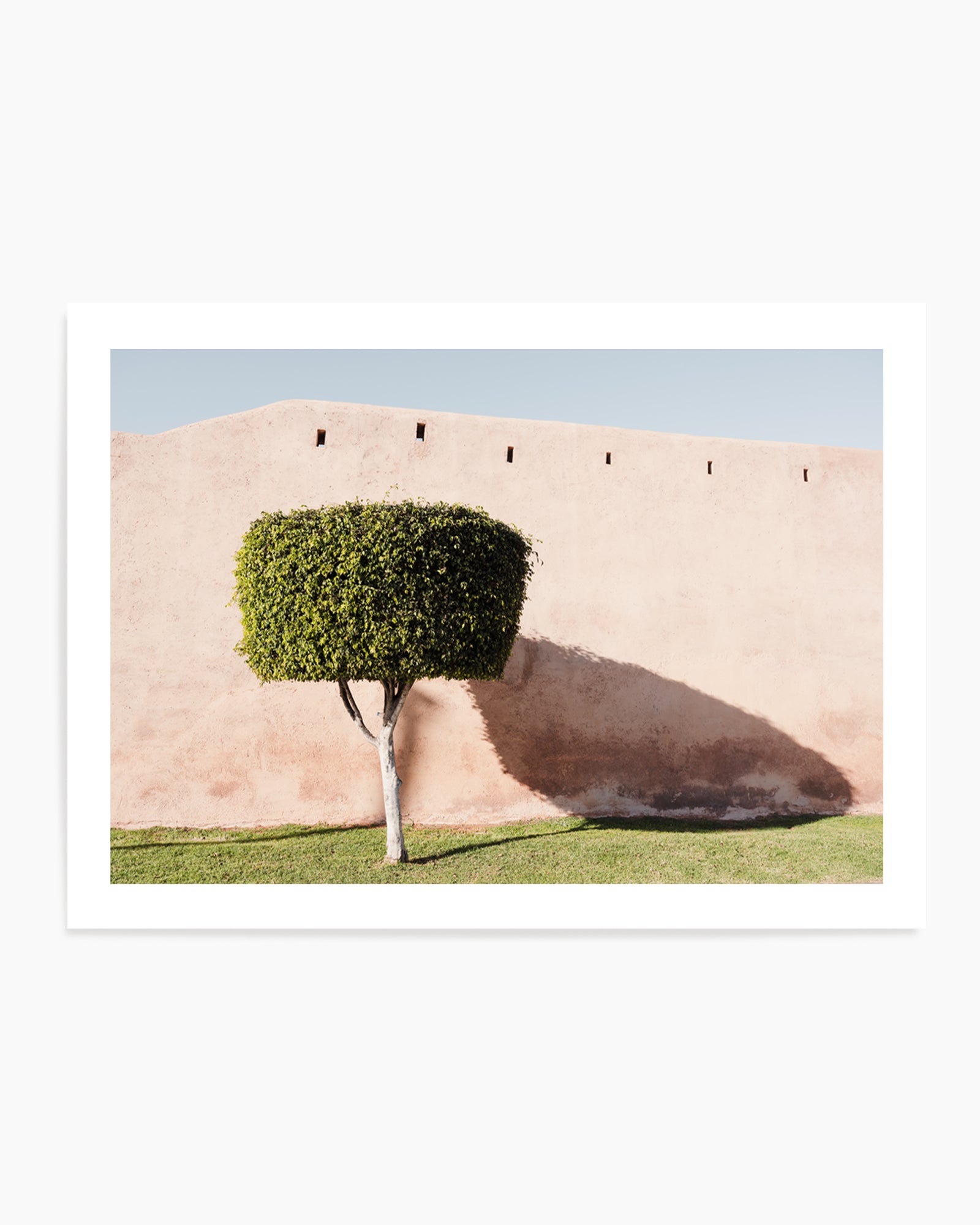 Tree Shadow on Pink Wall by Photolovers | Art Print