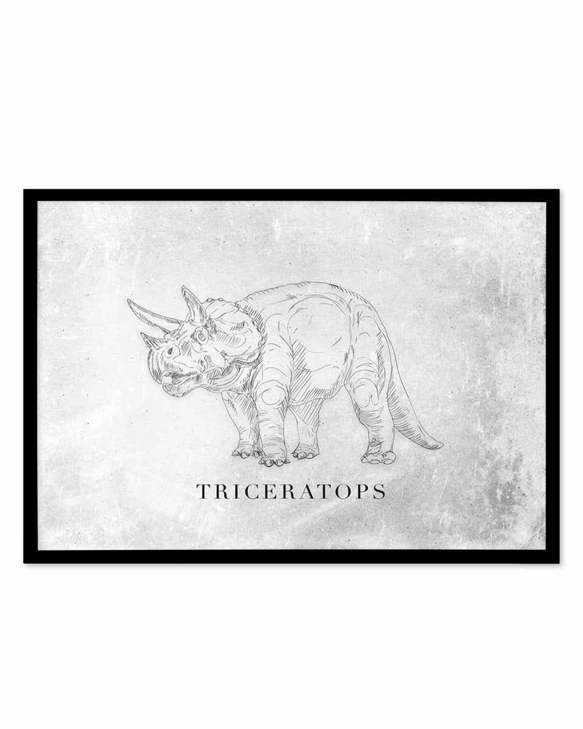 Triceratops LS | Dinosaur Collection Art Print