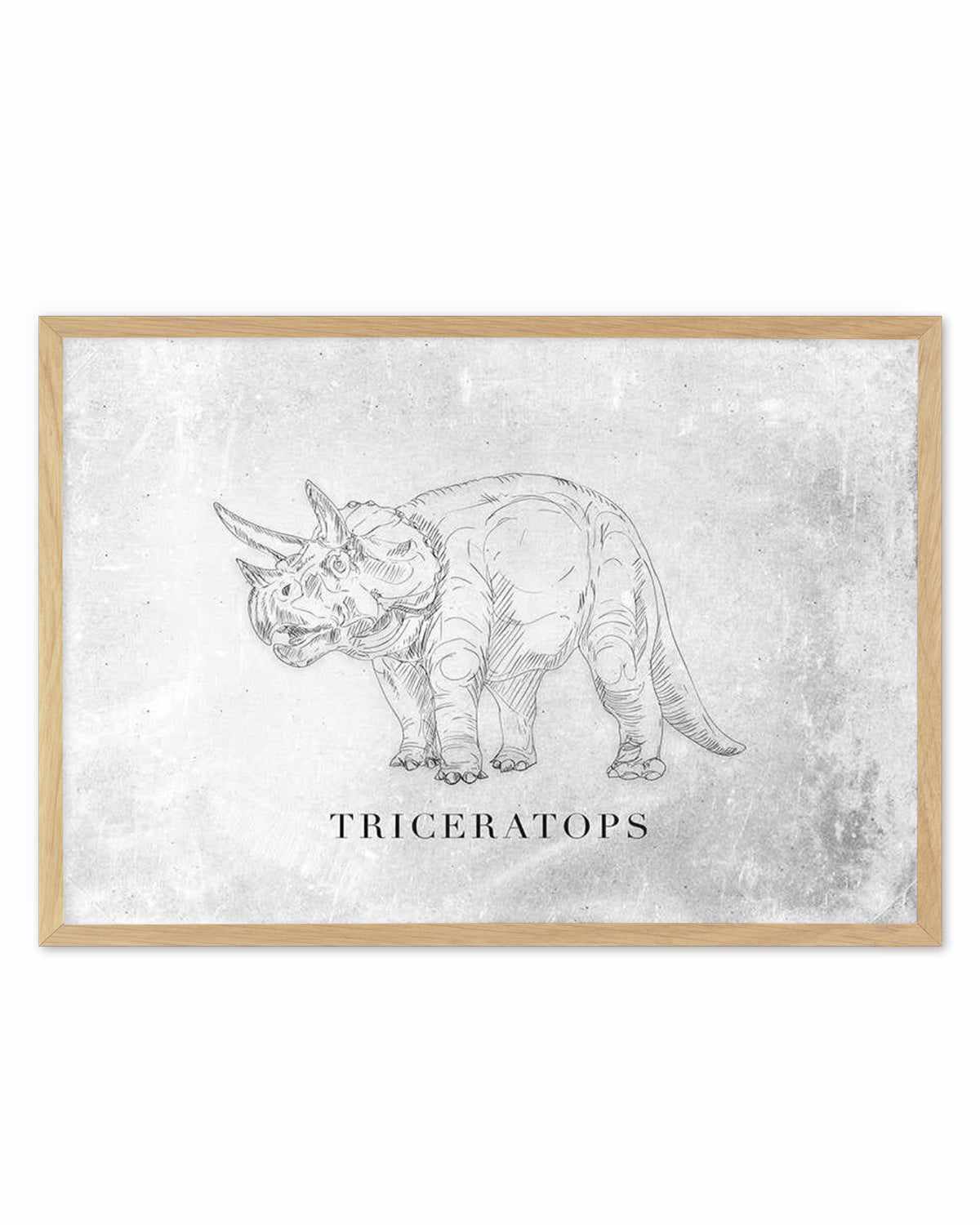 Triceratops LS | Dinosaur Collection Art Print