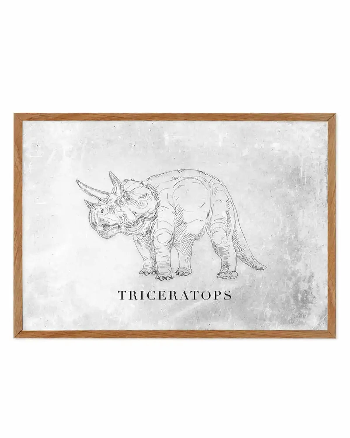 Triceratops LS | Dinosaur Collection Art Print from Olive et Oriel where you can shop wallpaper and artworks online