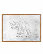 Triceratops LS | Dinosaur Collection Art Print