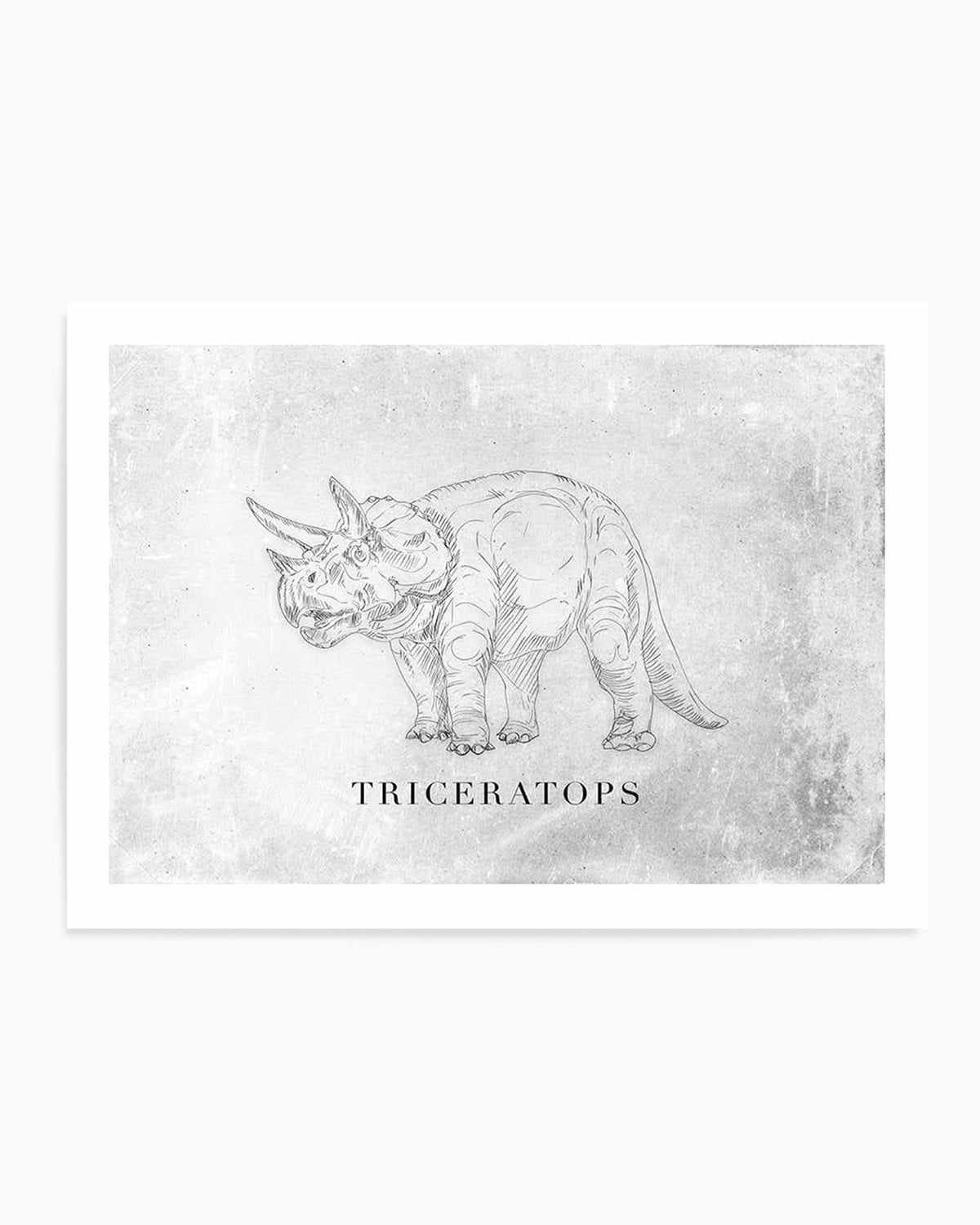 Triceratops LS | Dinosaur Collection Art Print