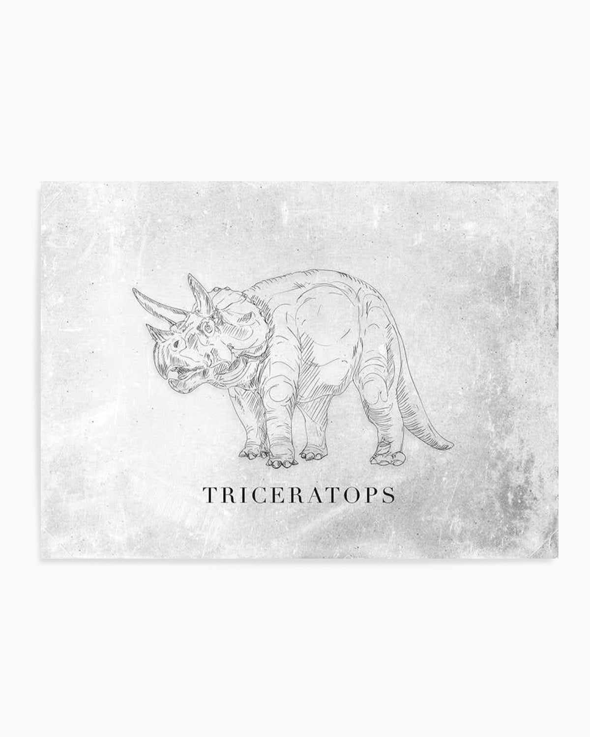 Triceratops LS | Dinosaur Collection Art Print